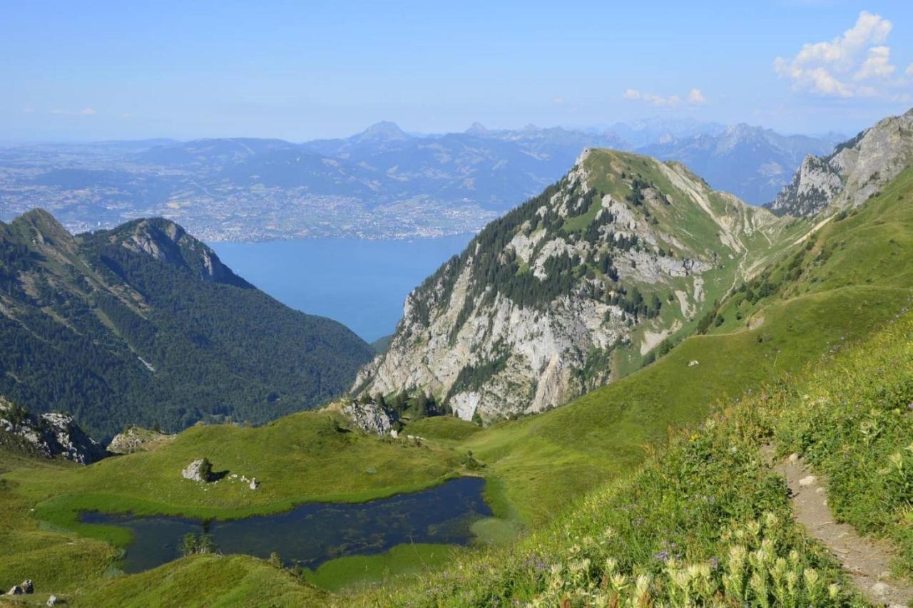 Le 67,ski et randonnée,lave linge,sèche linge,parking Bernex Esterno foto