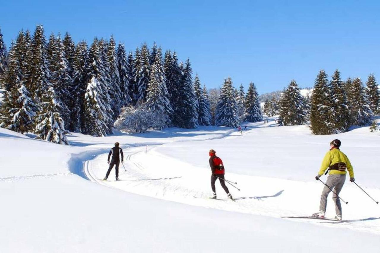 Le 67,ski et randonnée,lave linge,sèche linge,parking Bernex Esterno foto